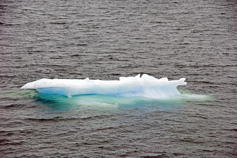 20071215 133120D2X 4200x2800.jpg - Cruising Chilean Fjords